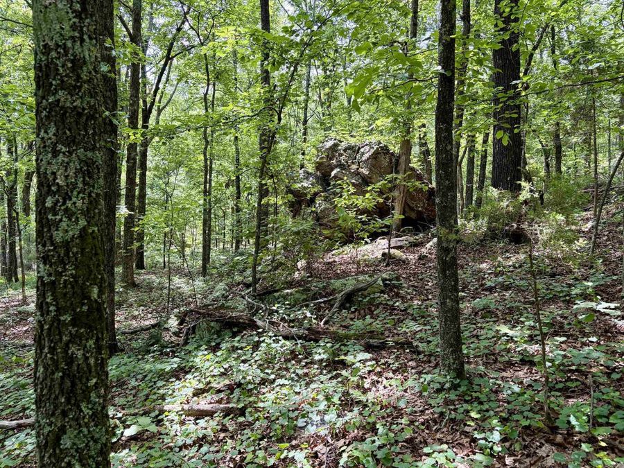 Property Image 18