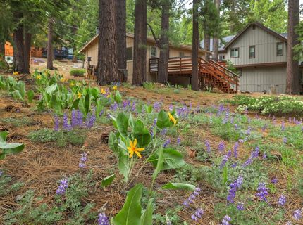 1863 Normuk Street, South Lake Tahoe, CA 96150 Photo