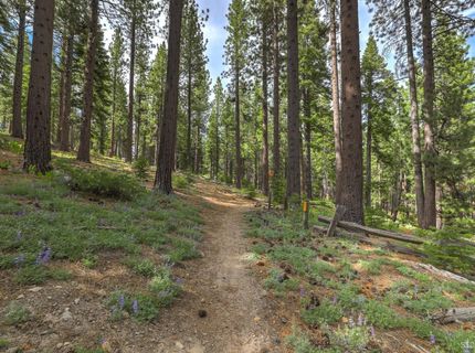 1863 Normuk Street, South Lake Tahoe, CA 96150 Photo