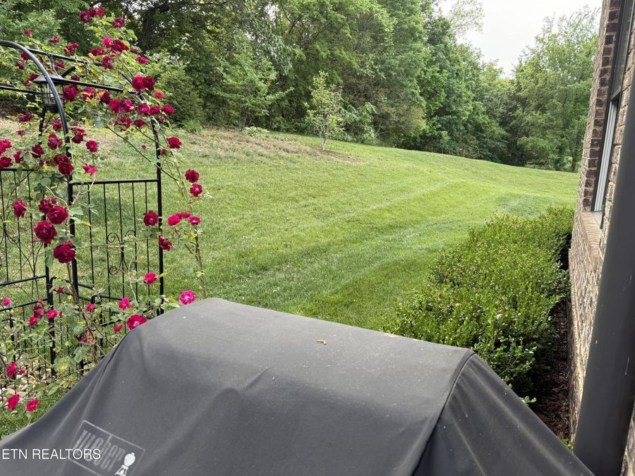 Property Image 55