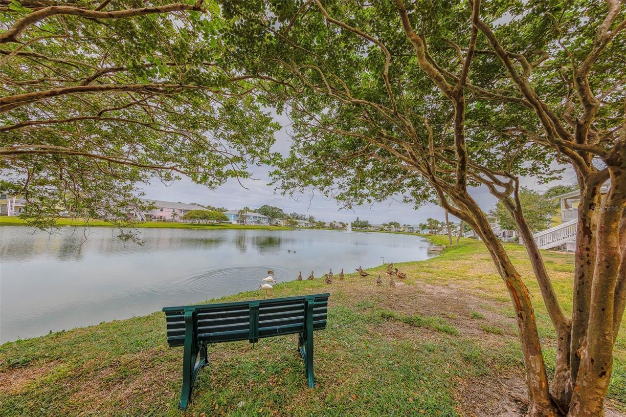 222 Pompano Drive Se, Unit H, Saint Petersburg, FL 33705 Photo