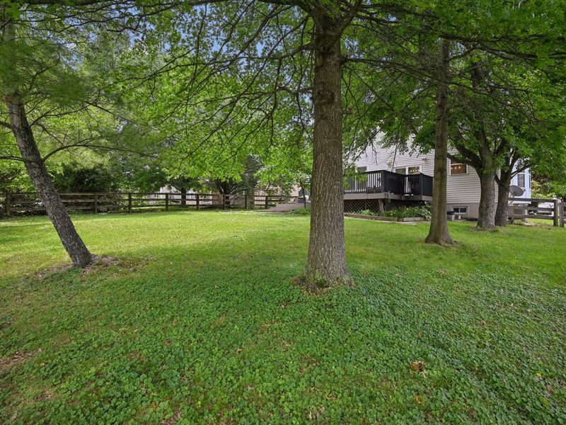 1218 Napa Ridge Court, Union, KY 41091 Photo 45