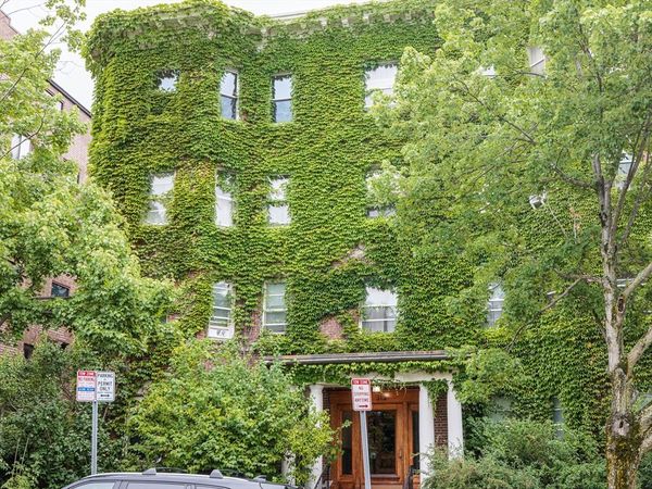 315 Harvard St., Unit 8, Cambridge, MA 02139