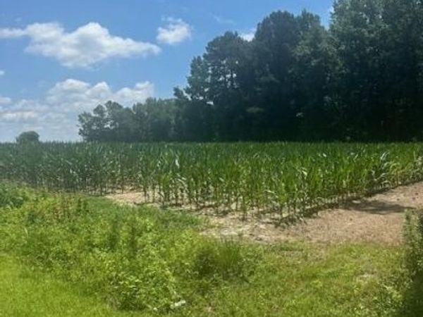 Near 721 Joe Piver Road, Chadbourn, NC 28431