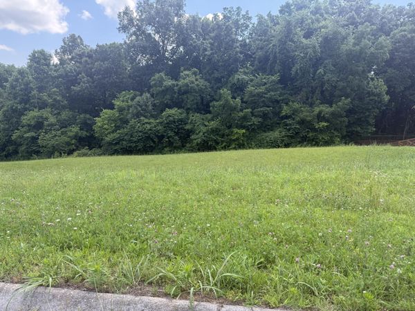 0 Castlebury Drive, Jefferson City, TN 37760