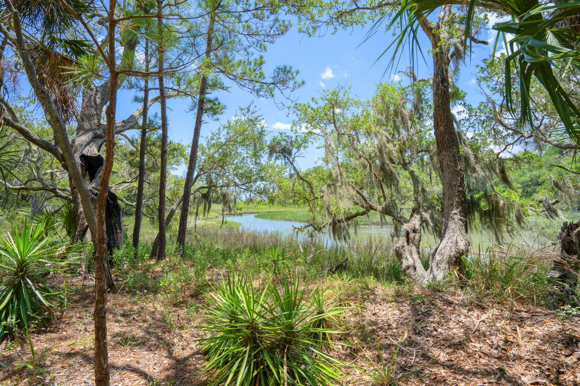 64 Harbor Breeze Drive Photo 15