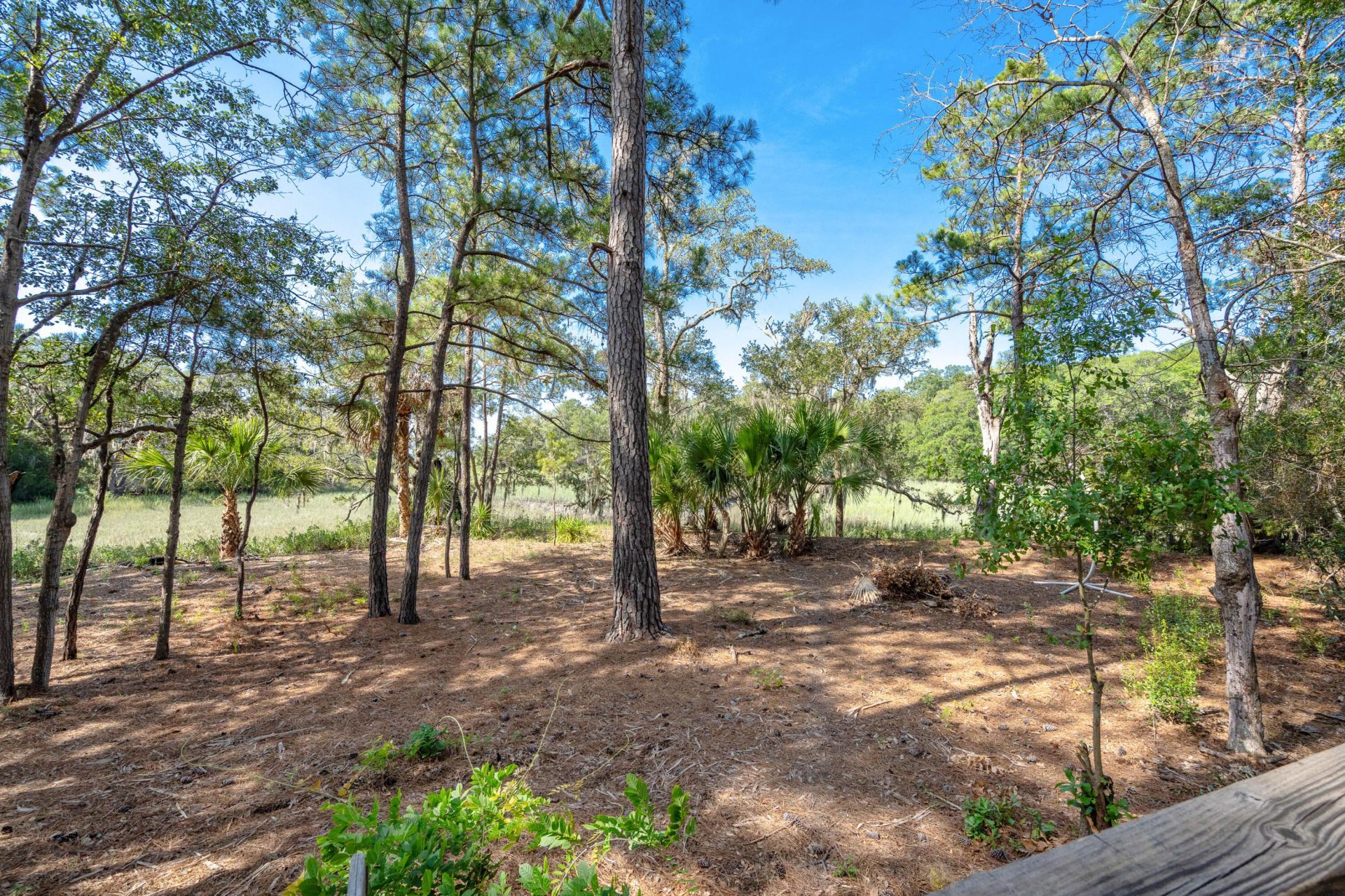 64 Harbor Breeze Drive Photo 16