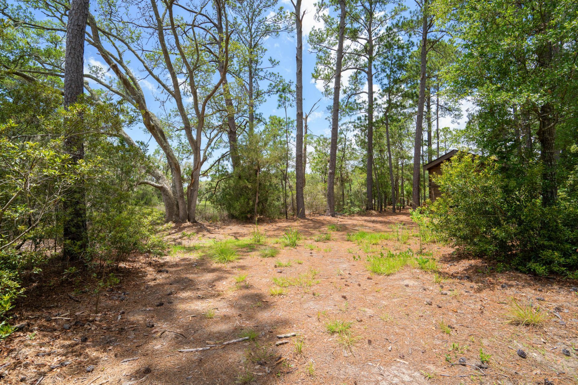 64 Harbor Breeze Drive Photo 17