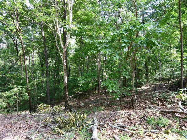 LOT 67 Prince Circle, Southside, AL 35907