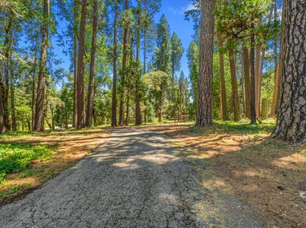 5660 State Highway 193, Georgetown, CA 95634 Photo