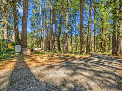 5660 State Highway 193, Georgetown, CA 95634 Photo