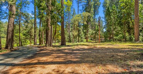 5660 State Highway 193, Georgetown, CA 95634 Photo