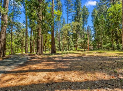 5660 State Highway 193, Georgetown, CA 95634 Photo