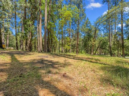 5660 State Highway 193, Georgetown, CA 95634 Photo