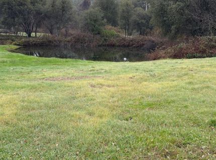 20357 Pleasant Valley Rd, North San Juan, CA 95960 Photo