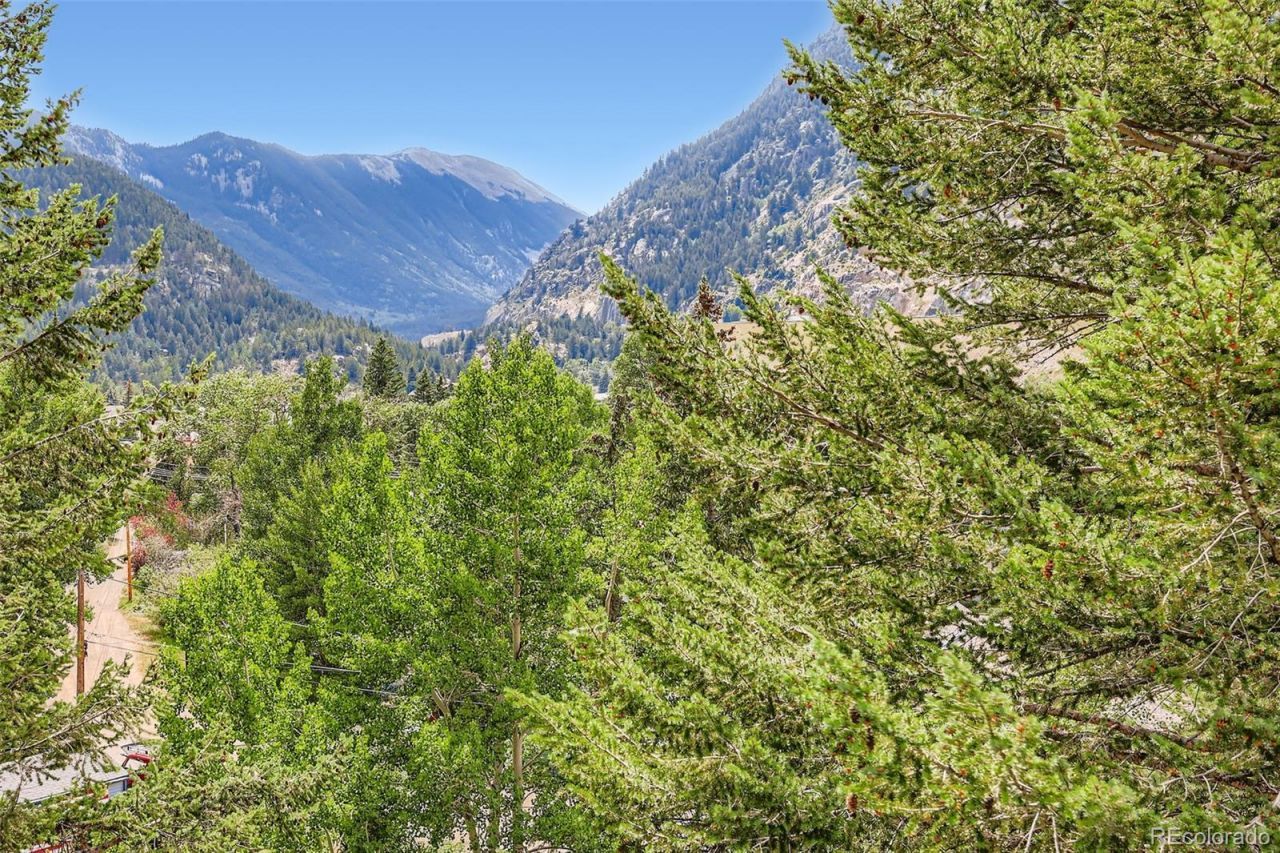 819 Valley View Drive, Georgetown, CO 80444 Main Photo
