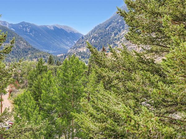 819 Valley View Drive, Georgetown, CO 80444