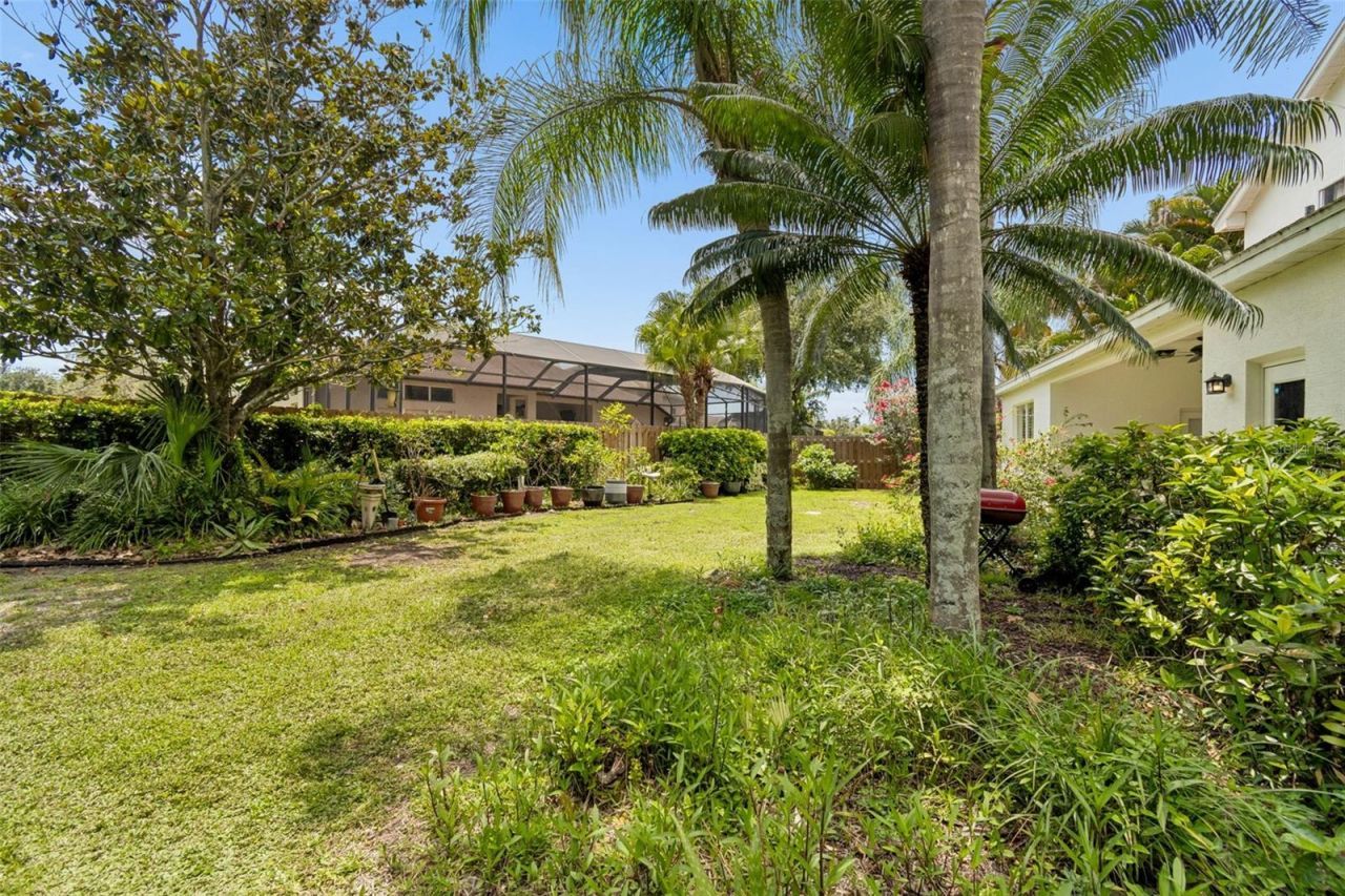 10502 Castleford Way, Tampa, FL 33626 Photo
