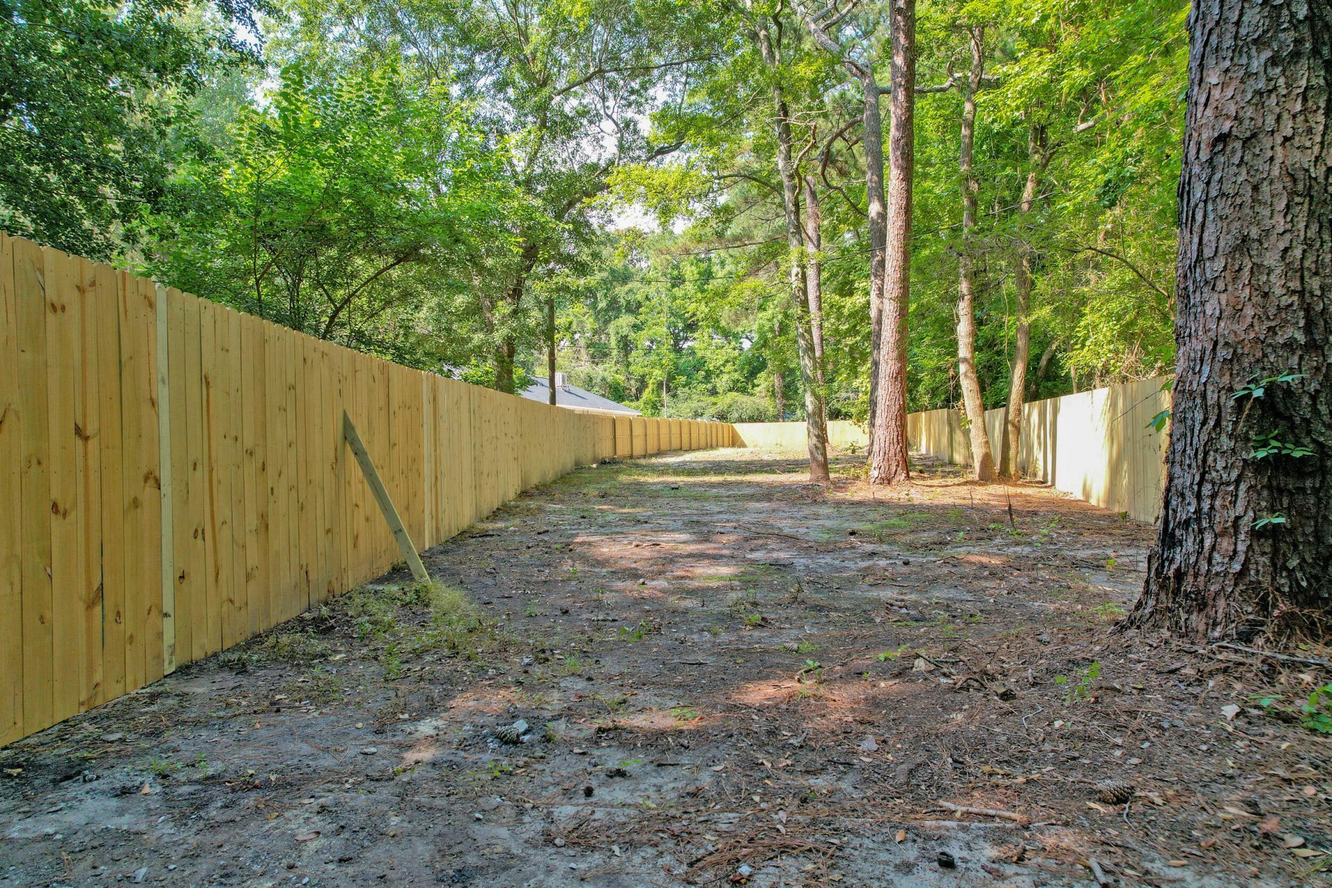 321 Joshua Lane Photo 9