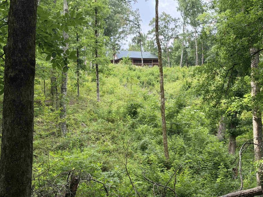 Property Image 31
