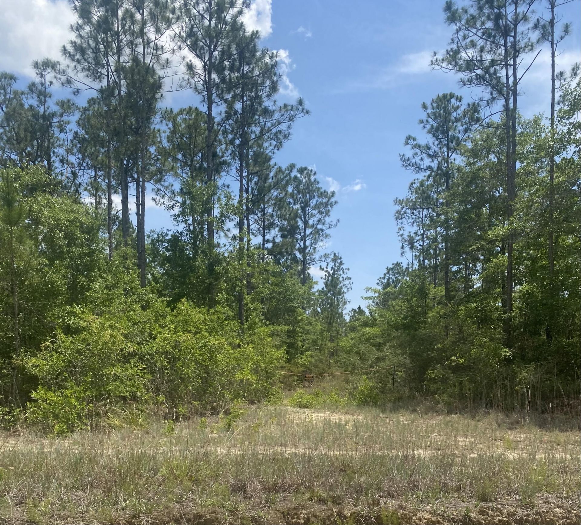 Tbd Joe Dugger Road, Freeport, FL 32439 Main Photo