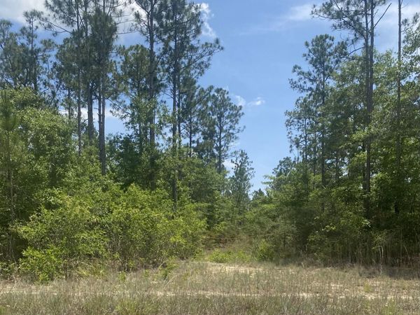TBD Joe Dugger Road, Freeport, FL 32439