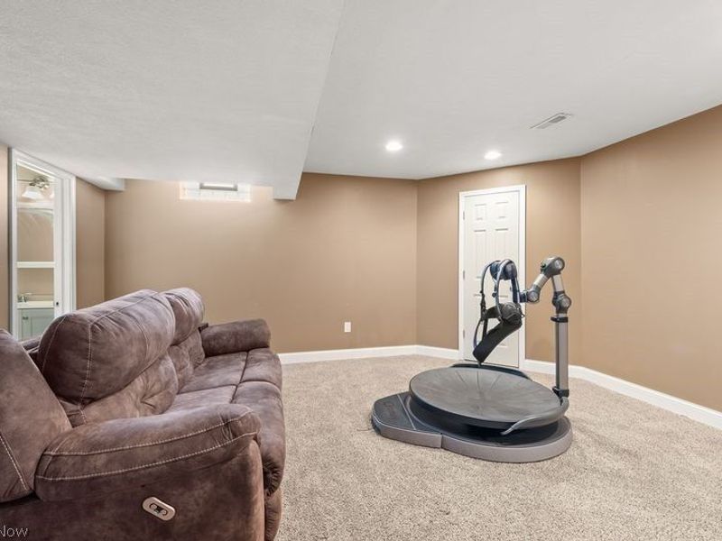 37529 Tail Feather Drive, North Ridgeville, OH 44039 Photo 33