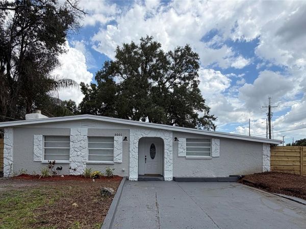 3001 E FERN STREET, TAMPA, FL 33610