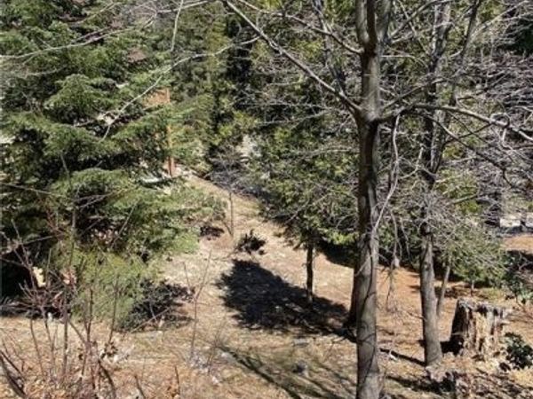 0 Circle, Lake Arrowhead, CA 92323