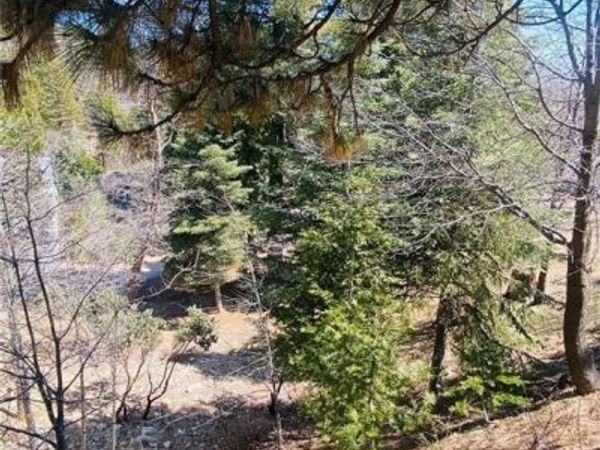 0 Circle, Lake Arrowhead, CA 92323