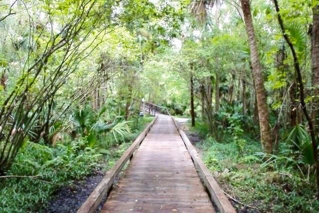 125 Raintree Drive , Longwood, FL 32779 Photo