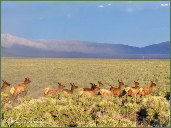 8397 N 2 Lane, Mosca, CO 81146