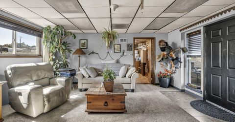 1190 Skinner Drive, Washoe Valley, NV 89704 Photo