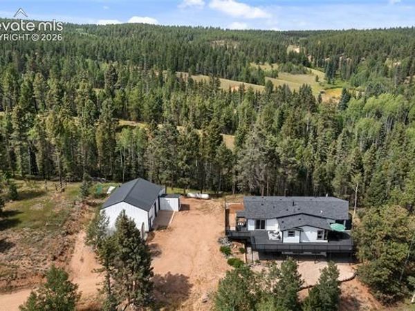 403 Pioneer Creek Drive, Florissant, CO 80816