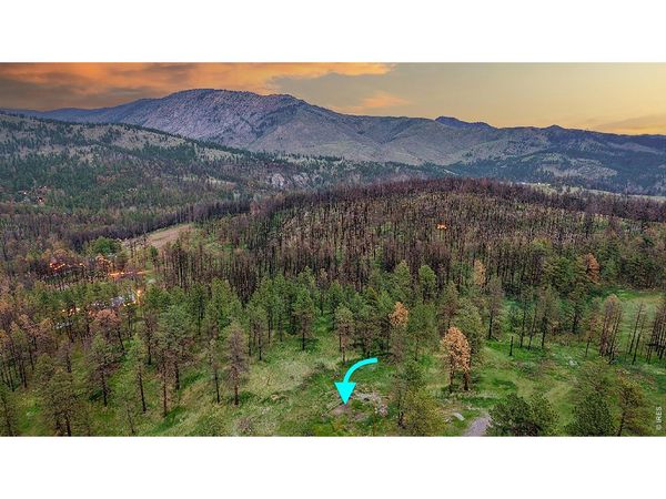 179 Green Ridge Rd, Drake, CO 80515
