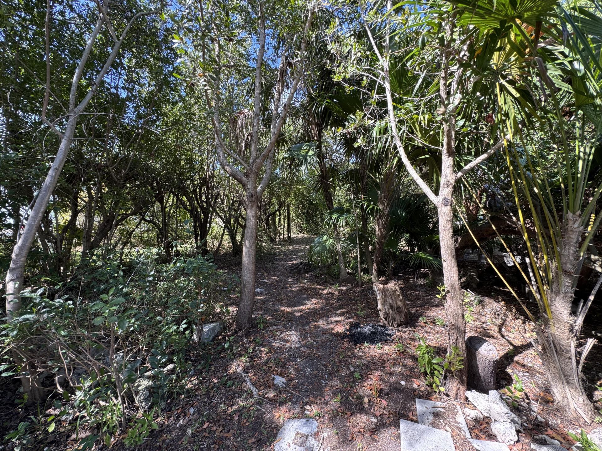 963 69th Street Ocean, Marathon, FL 33050 Photo