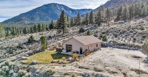 466 Horsethief Circle, Markleeville, CA 96120 Photo