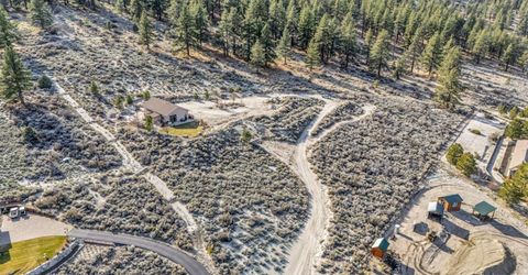 466 Horsethief Circle, Markleeville, CA 96120 Photo