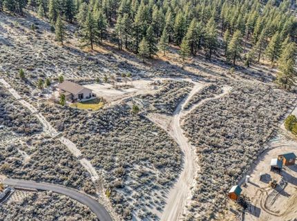 466 Horsethief Circle, Markleeville, CA 96120 Photo