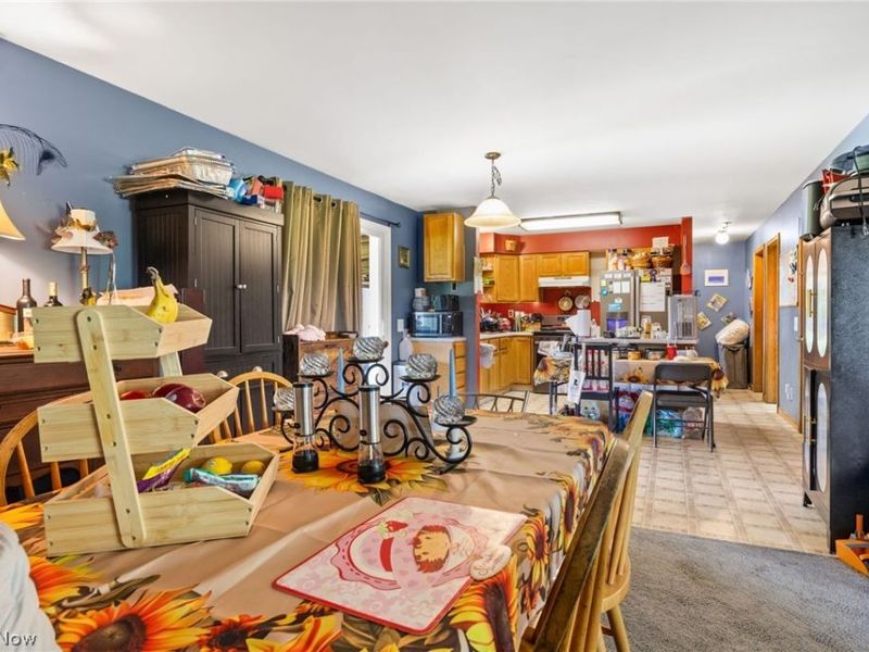 12331 Baird Road, Oberlin, OH 44074 Photo 4
