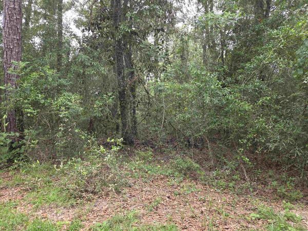 xxx NE Shadow Lane , Hosford, FL 32334