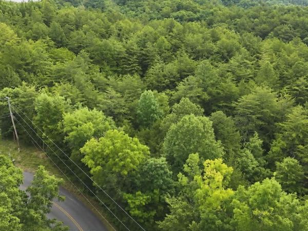 Buck Horn Rd, Dandridge, TN 37725