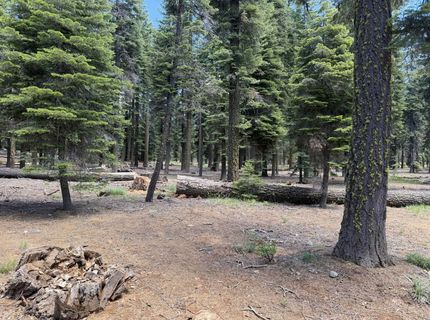 #20 Willow Creek Homesites, Chester, CA 00000 Photo