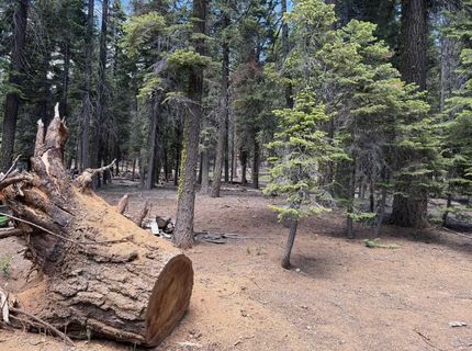 #20 Willow Creek Homesites, Chester, CA 00000 Photo