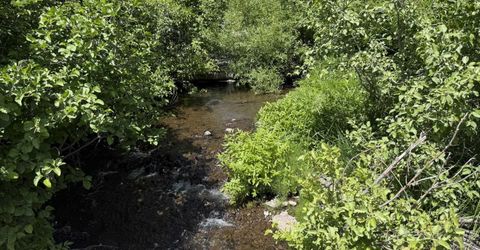 #20 Willow Creek Homesites, Chester, CA 00000 Photo