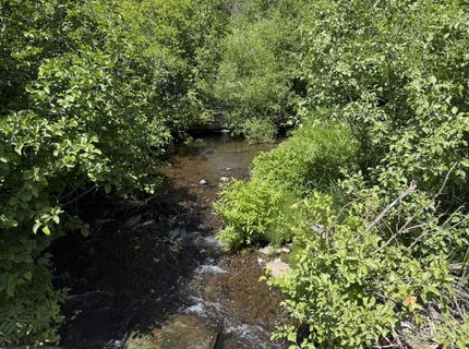 #20 Willow Creek Homesites, Chester, CA 00000 Photo