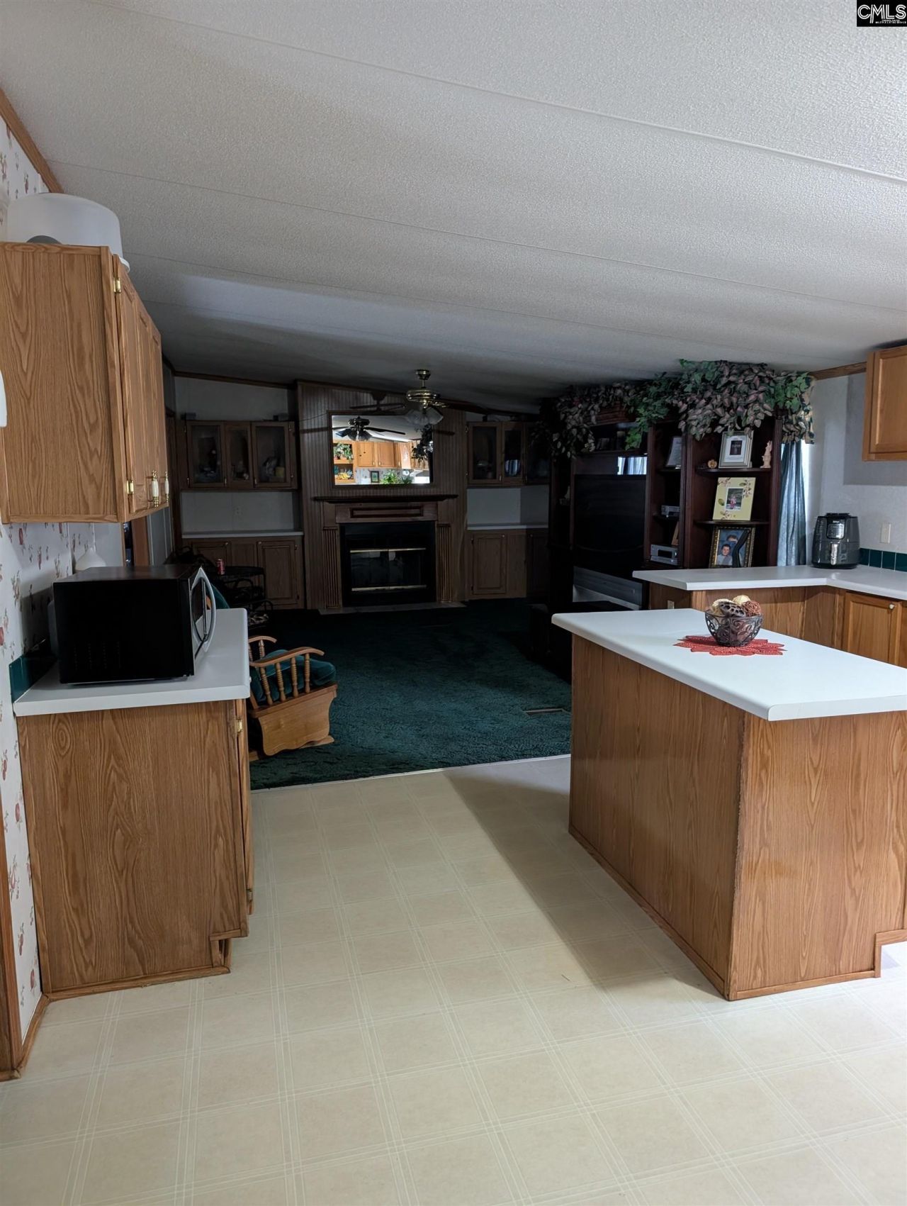 113 Hass Lucas Road  Photo 13