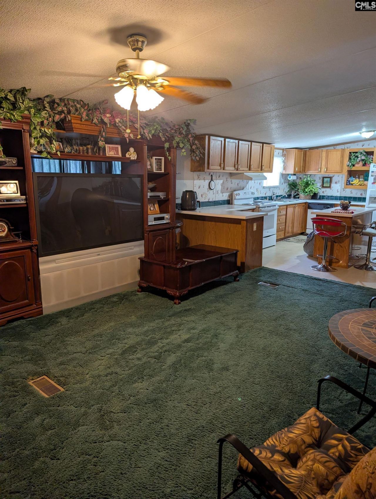 113 Hass Lucas Road  Photo 14