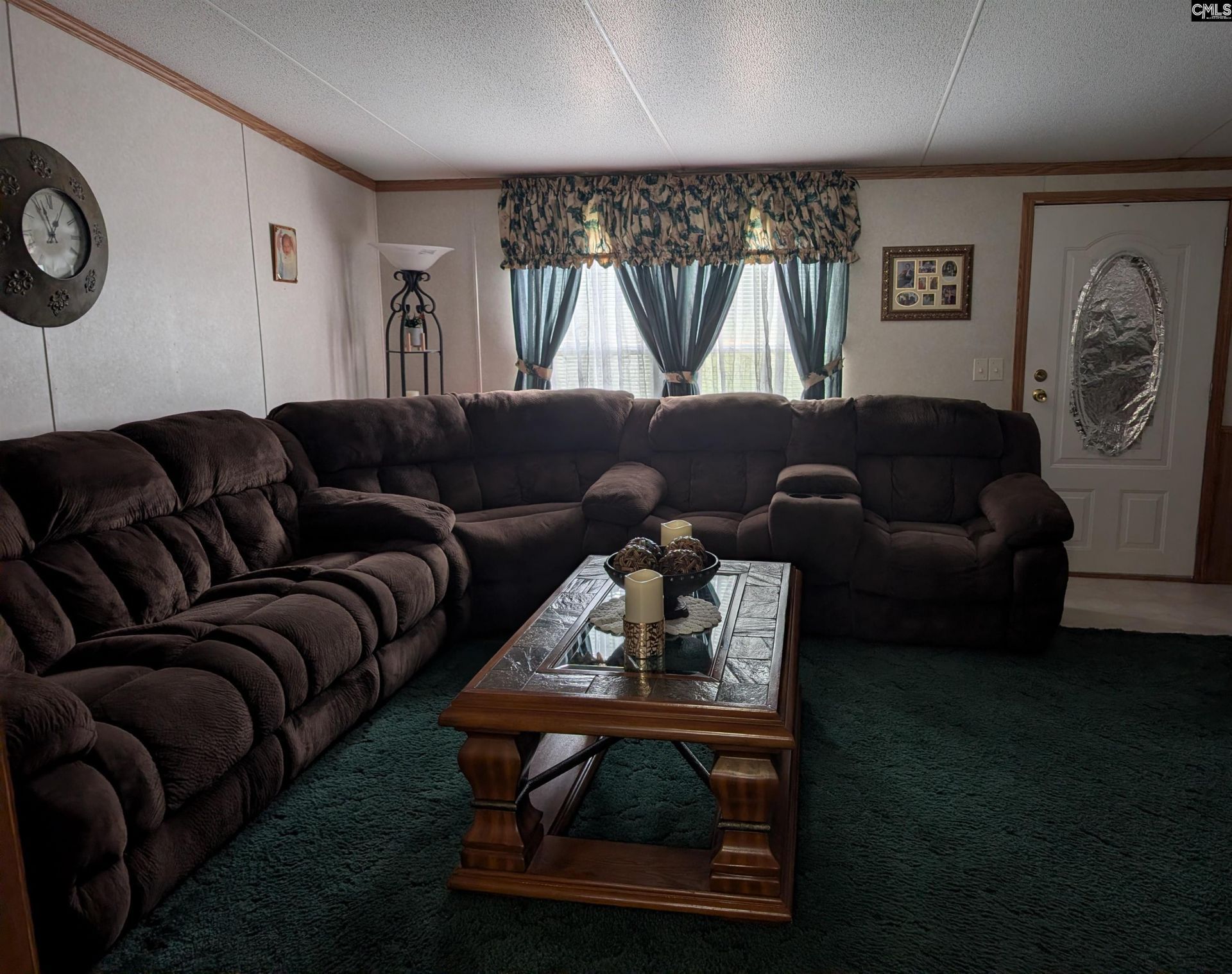 113 Hass Lucas Road  Photo 17