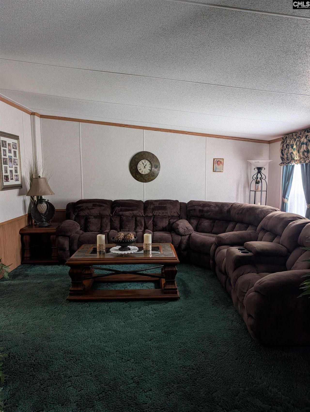 113 Hass Lucas Road  Photo 18